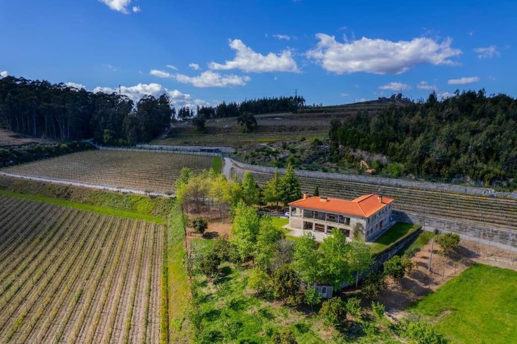 Villa Quinta Picouto De Cima à Guimarães Extérieur photo