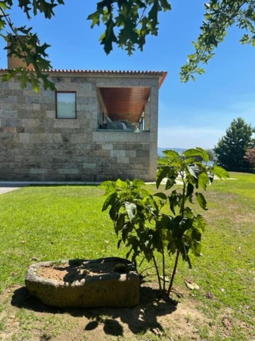 Villa Quinta Picouto De Cima à Guimarães Extérieur photo